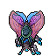 Hibernal Moth Mount